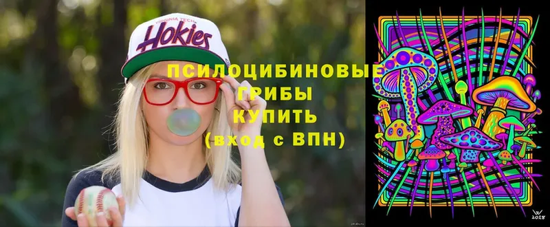 сколько стоит  Камызяк  Галлюциногенные грибы Cubensis 